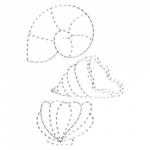 Раскраска Ракушки по точкам