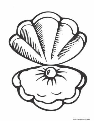 Раскраска ракушка с жемчужиной