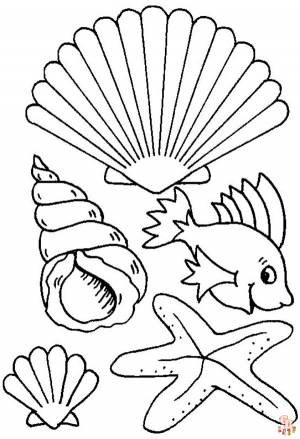 Погрузись в веселье с Морскими Раковинами Раскраски