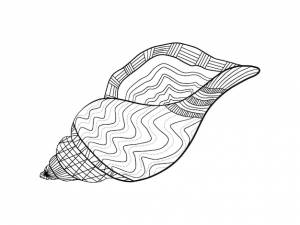 Морской вектор морской ракушки изолированный ручной рисунок черно-белый силуэт книжки-раскраски