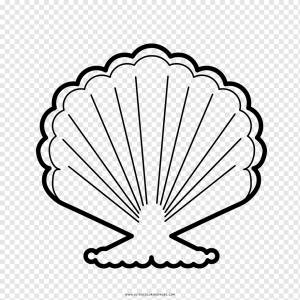 Рисунок ракушки, ракушка, белый, животные, лист png