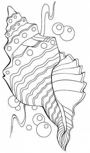 Раскраски Ракушка