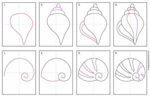 Как нарисовать ракушку