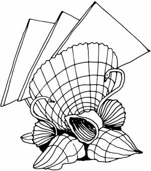 Раскраска Ракушка