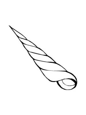 Раскраски Ракушки