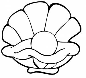 Раскраска Ракушка