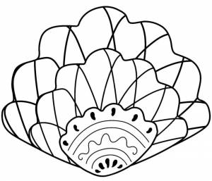 Раскраска Ракушка в виде веера