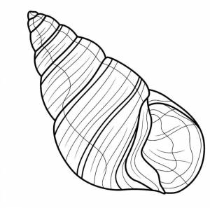 Раскраска Огромная ракушка