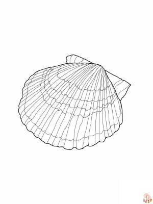 Раскраски Ракушки Веселое и развивающее занятие для детей