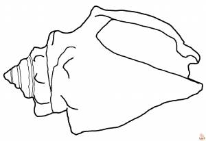 Раскраски Ракушки Веселое и развивающее занятие для детей