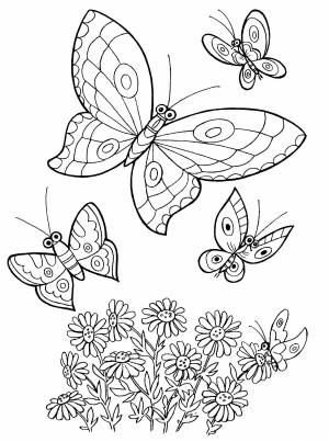 Раскраски бабочки на лугу для детей
