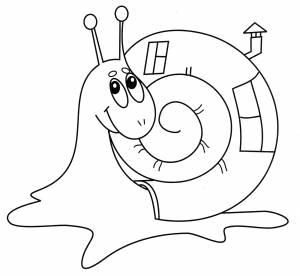 Раскраска Красивая улитка