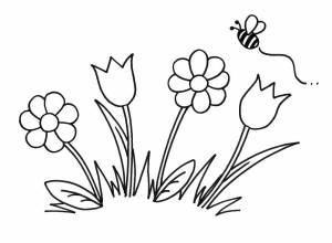 Раскраски краски, Раскраска Улитка Раскраски для малышей