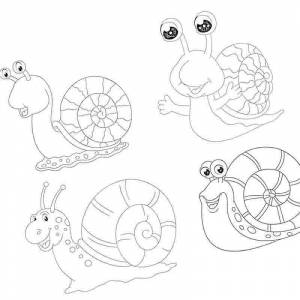 Раскраска Приятная улитка