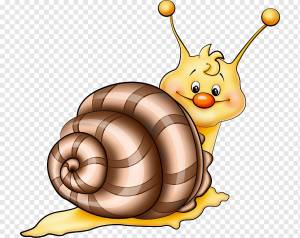 Рисунок Караколь, Улитка, еда, животные, мультфильм png
