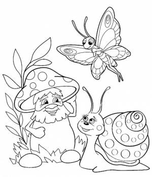 Раскраска Раскраска гриб, улитка, бабочка для детей