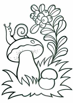 Раскраска Улитка сидит на грибочке