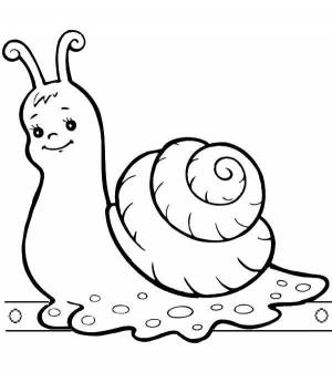 Раскраски Раскраска Улитка Животные детские