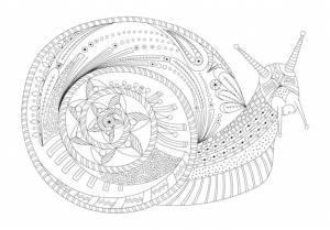 Абстрактные раскраски улитки в стиле зентангл