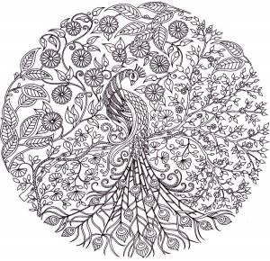 Официальный сайт школы №55