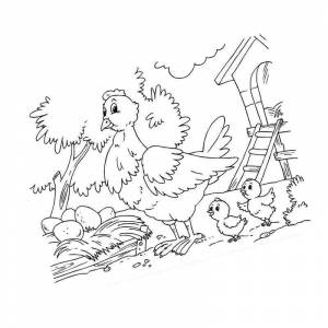 Раскраска домашняя птица курочка цыплята и яйца