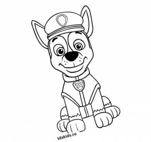 Раскраска Рокки смотрит Щенячий патруль