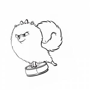 Раскраска шпиц Гиджет