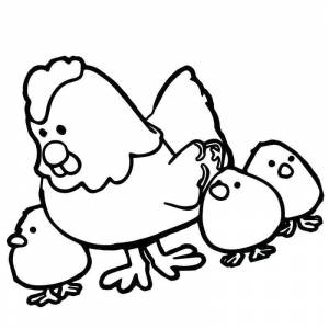 Раскраска курочка и два птенца