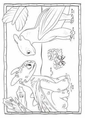 Раскраски Как приручить дракона