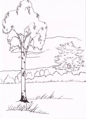 Blog Archives