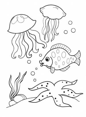 Раскраски морское чудо