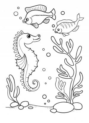 Раскраски море морские обитатели