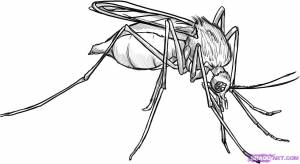 Как нарисовать комара поэтапно