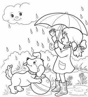 Летний дождь