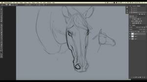 Как рисовать лошадей в Photoshop?
