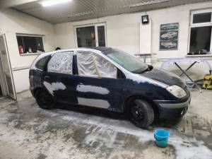 Полная покраска сени