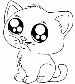 Кот