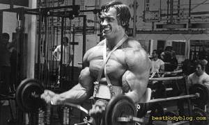 Бицепс Арнольда
