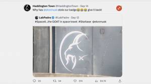 Илон Маск скопировал логотип шотландской футбольной команды для SpaceX