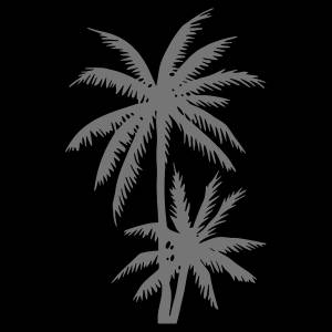 Трафарет Пальмы