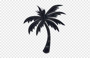 Трафарет Arecaceae Sabal Palm Tree Рисунок, листья пальмы, шаблон, лист, фал png