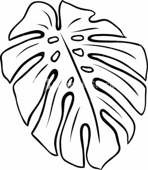 Листья пальмы контур