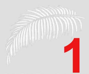 Трафареты “Кокосовая пальма”