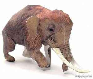 Слон из бумаги, модели сборные бумажные