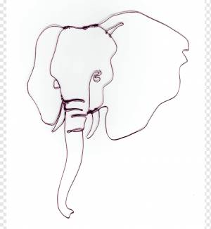 Индийский слон Рисунок африканского слона, контур лица слона, белый, млекопитающее, лицо png