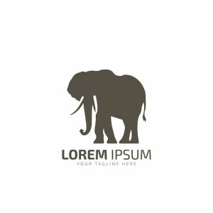 Иконка логотипа слона силуэт слона шаблон изолированного векторного рисунка слона на белом фоне