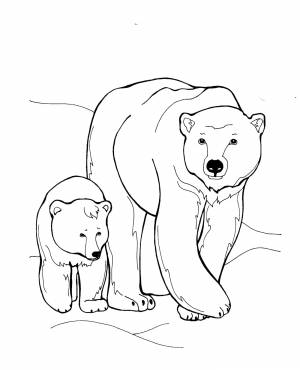 Раскраска Животные и их детеныши
