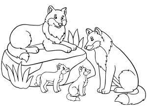 Семья волков