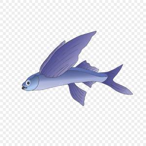 клипарт летучей рыбы PNG , под морем, Рыба, животное PNG картинки и пнг PSD рисунок для й загрузки