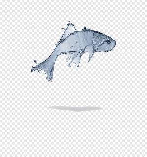 Рыба, Цементная летучая рыба, белый, морской Млекопитающее png